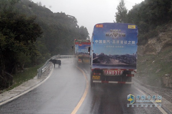 中國重汽品質(zhì)鑒證之旅第一季藏地探索世界屋脊