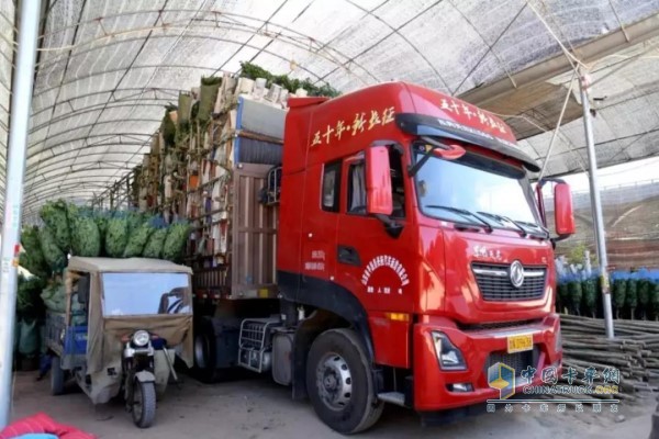 車輛裝好鮮花綠植踏上返程之路，車貨總重仍為49噸