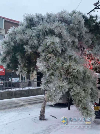 受降雪及路面結(jié)冰影響道路通行